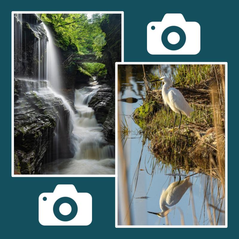 Basic Principles of Photography The Henry Carter Hull Library